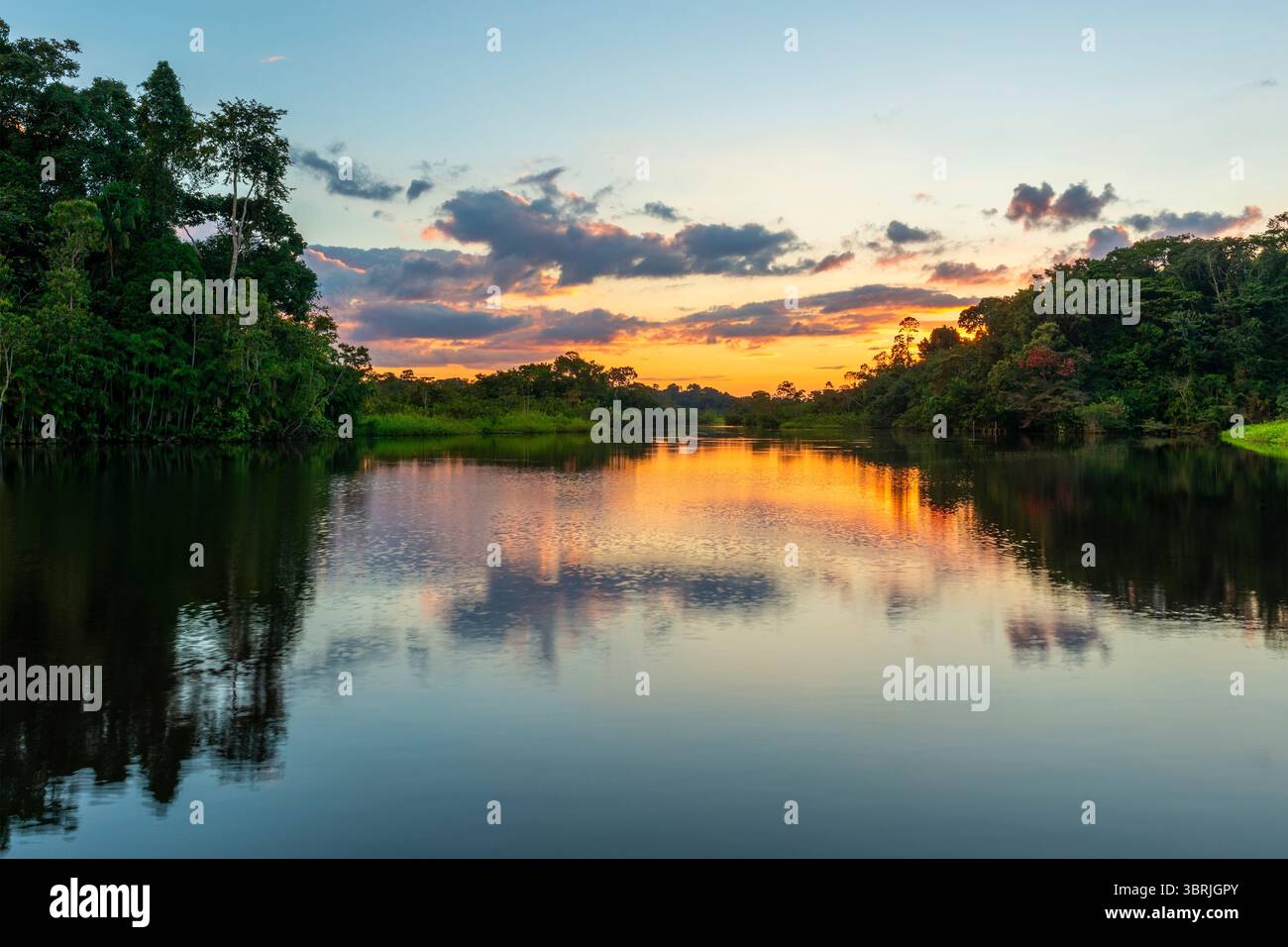 Riflesso del tramonto sulla foresta pluviale amazzonica, Sud America. Foto Stock