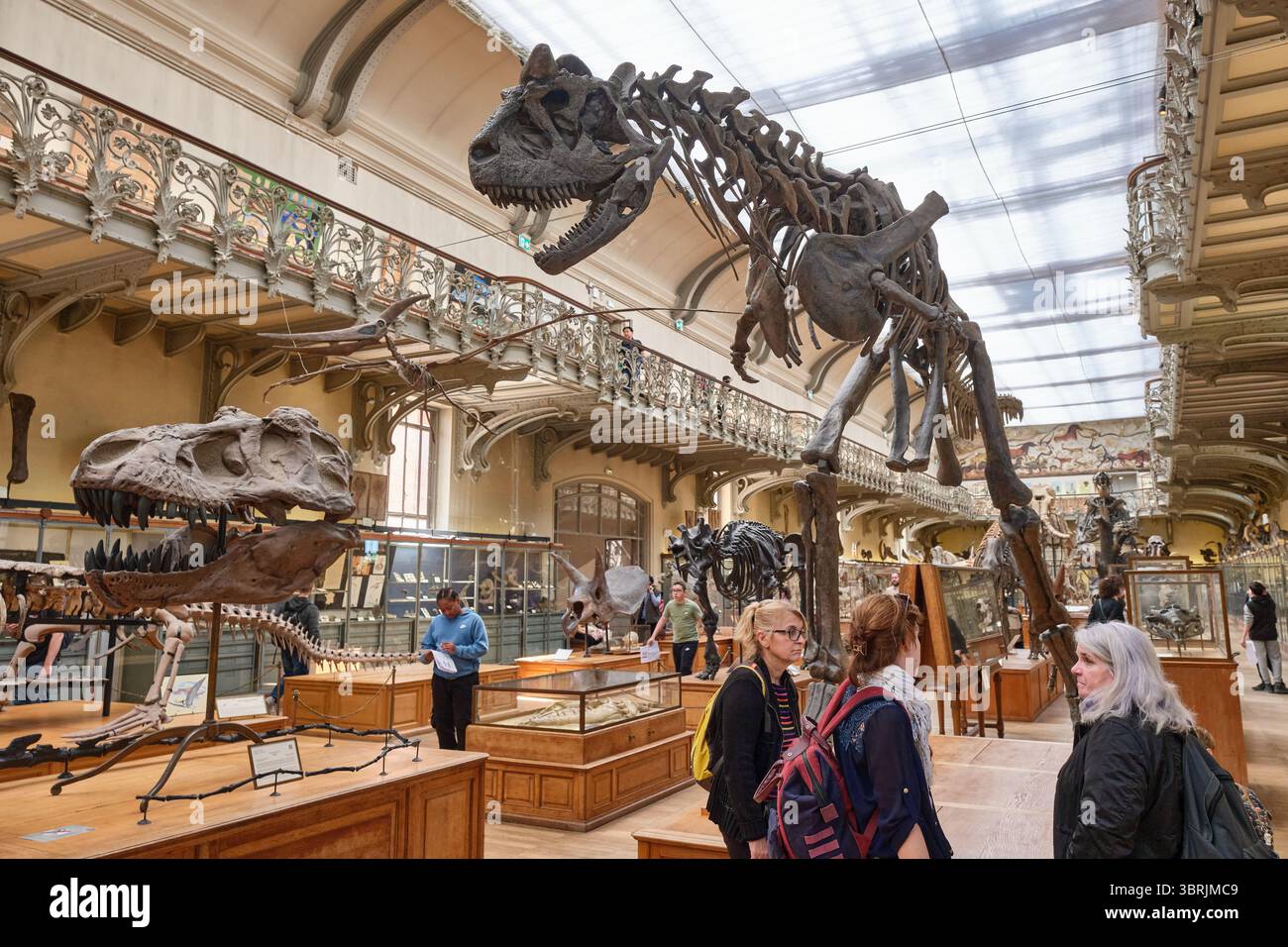 Galleria comparativa di Paleontologia e anatomia, museo di Parigi, Francia Foto Stock