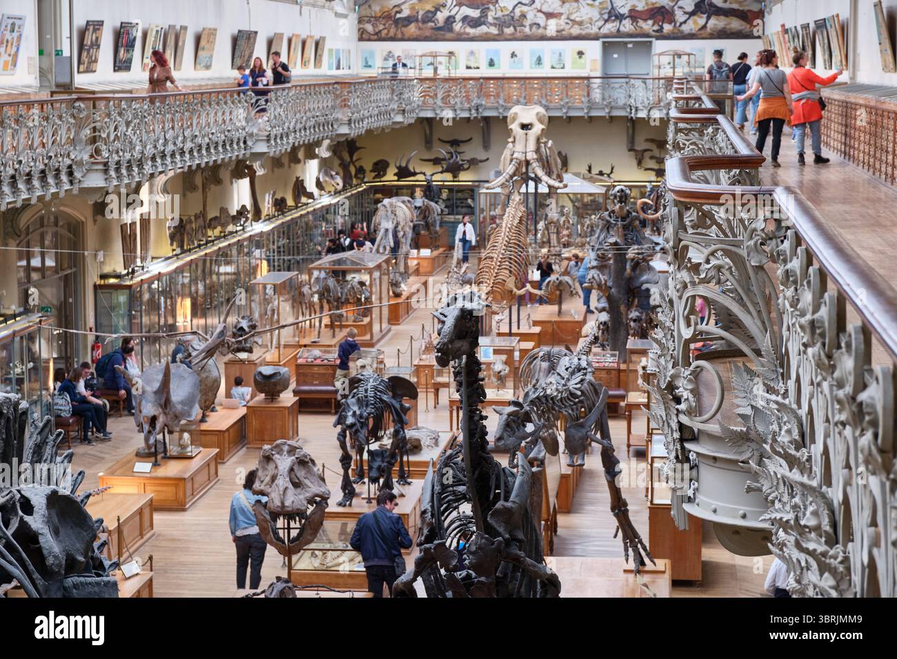 Galleria comparativa di Paleontologia e anatomia, museo di Parigi, Francia Foto Stock