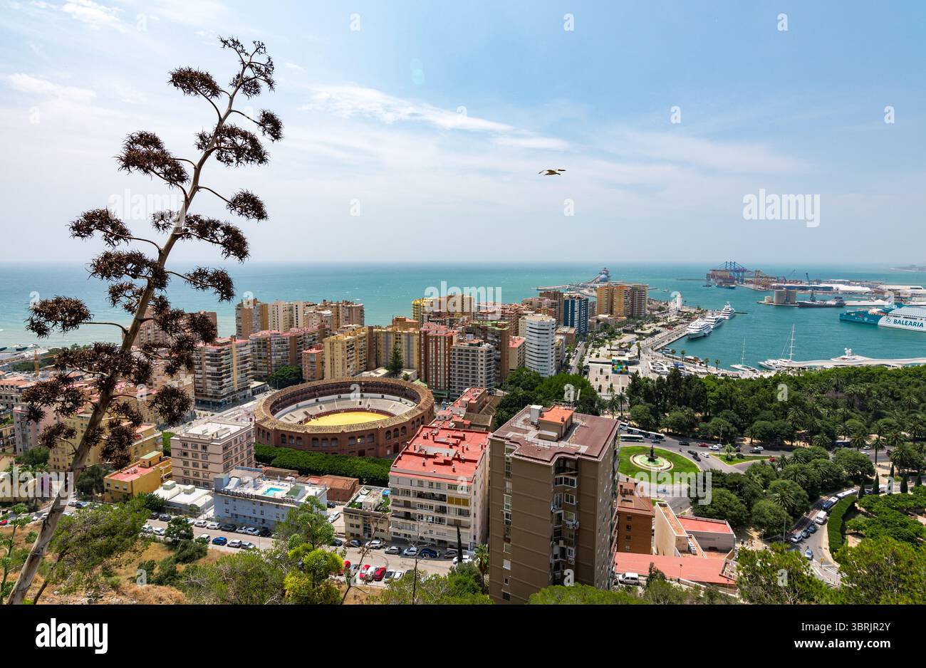 Vista panoramica dal Mirador di Málaga con la storica plaza de toros la Malagueta, lo skyline urbano e la vivace baia del porto Foto Stock