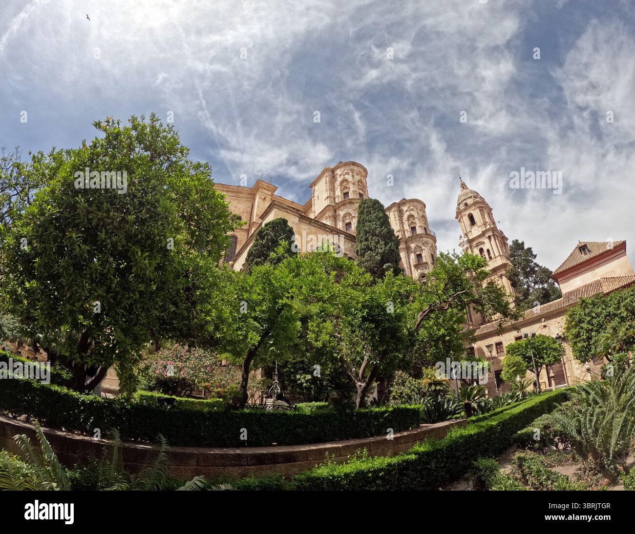 La maestosa cattedrale di Málaga si erge dietro una vegetazione lussureggiante sotto un cielo nuvoloso drammatico nel cuore della città vecchia. Foto Stock
