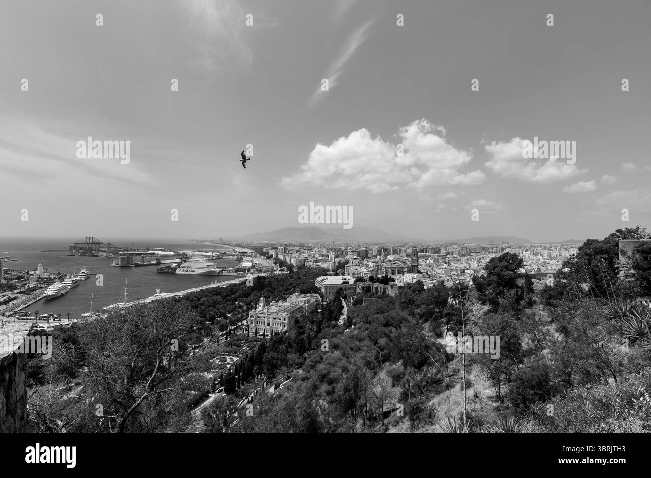 Vista panoramica mozzafiato dall'Alcazaba sul porto, la cattedrale e la città di Málaga, con gabbiani che si innalzano sopra lo skyline costiero. Foto Stock