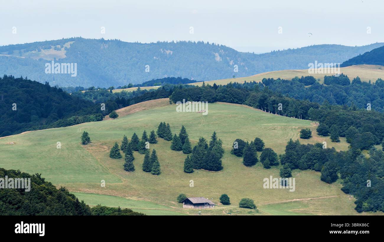 Tranquillo paesaggio montano con Rolling Hills e alberi Evergreen sotto il cielo limpido Foto Stock