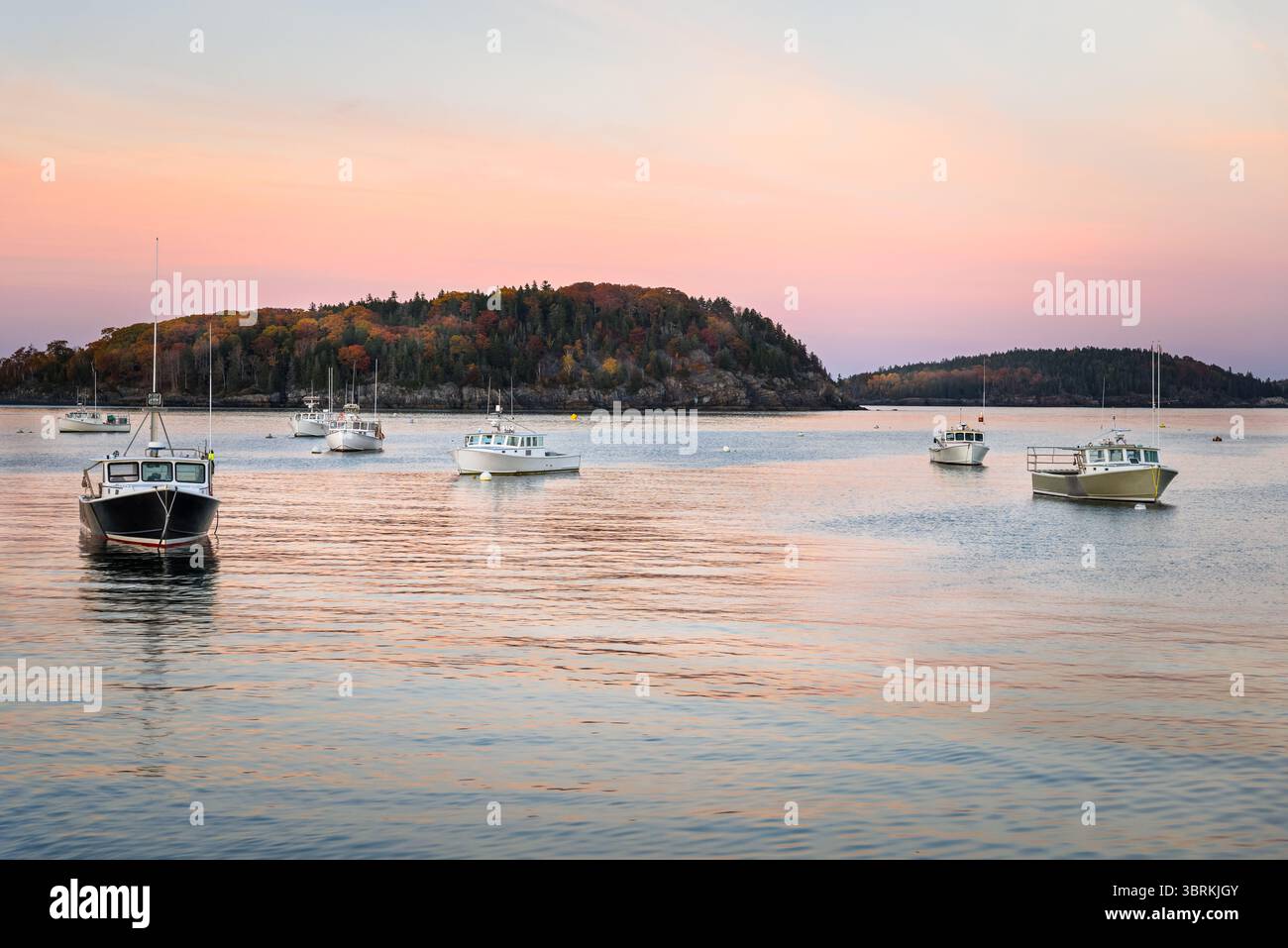 Barche da pesca legate a boe in un porto al crepuscolo in autunno. Le isole boscose al culmine dei colori autunnali sono sullo sfondo. Foto Stock