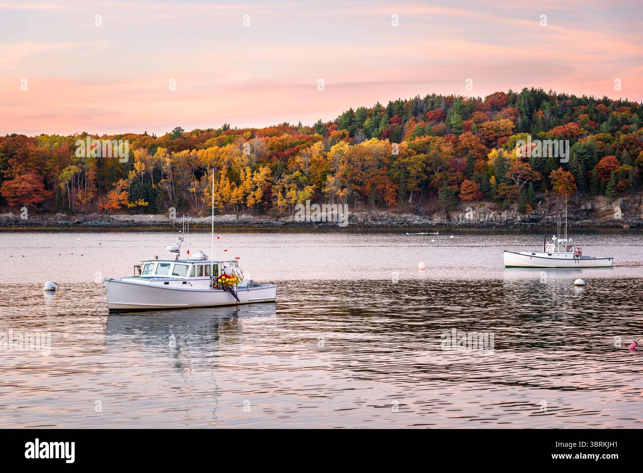 Barche da pesca nel porto al tramonto in autunno. Una costa rocciosa boscosa al culmine del fogliame autunnale è sullo sfondo. Foto Stock