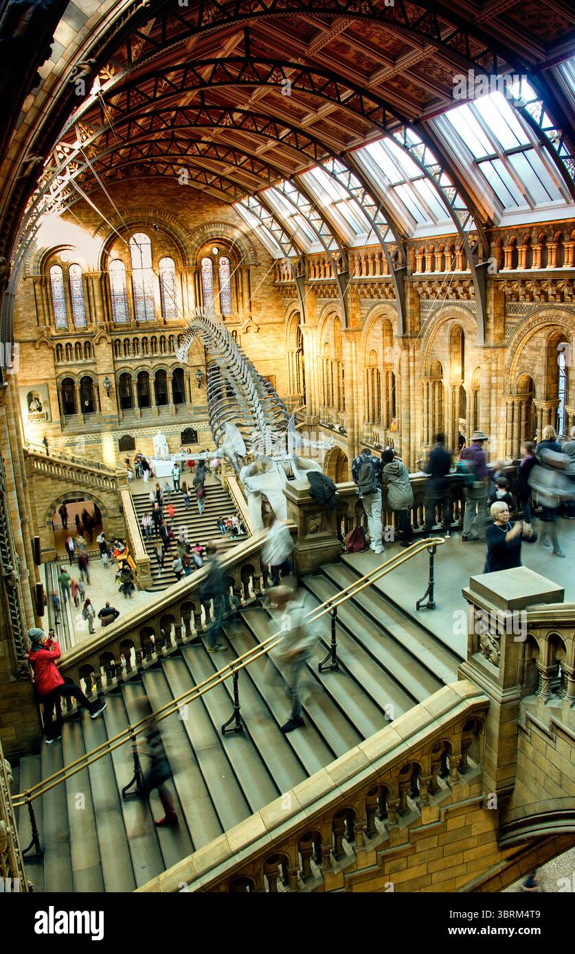museo di storia di londra di sera con un raggio di luce Foto Stock