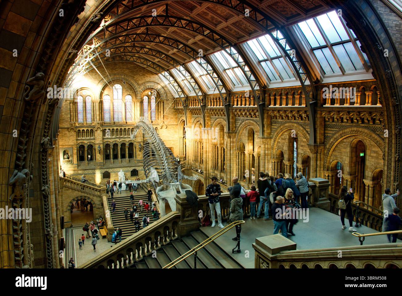 museo di storia di londra di sera con un raggio di luce Foto Stock