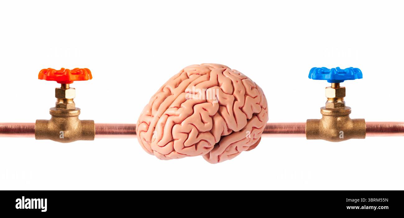 Immagine concettuale surreale che mostra un cervello umano collegato tra due valvole dell'acqua in rame, simboleggiando il lavaggio del cervello e la manipolazione Foto Stock