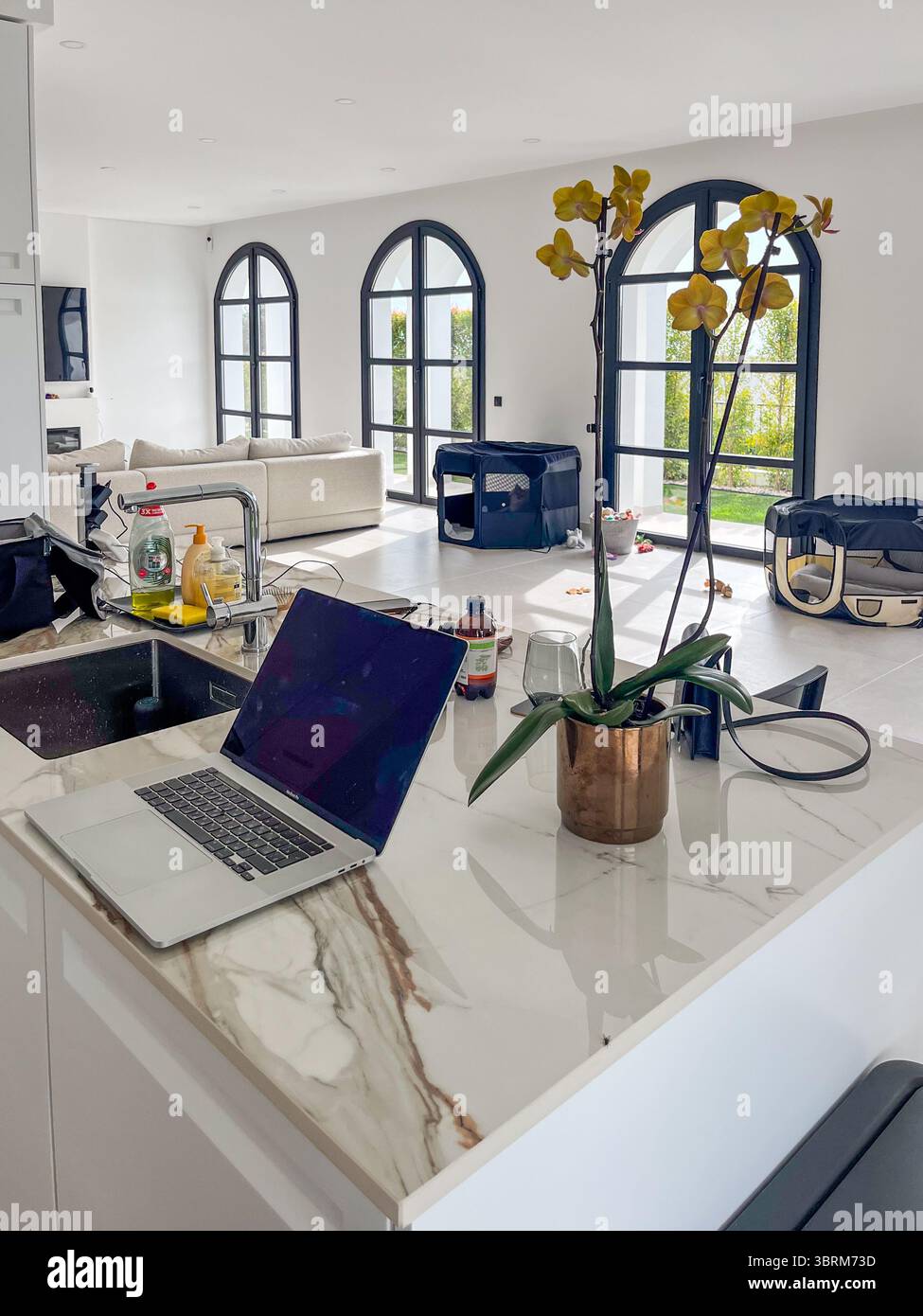 La cucina contemporanea presenta un ripiano in marmo lucido, un computer portatile e una splendida pianta di orchidee, con un'abbondante luce naturale che scorre attraverso grandi spazi Foto Stock
