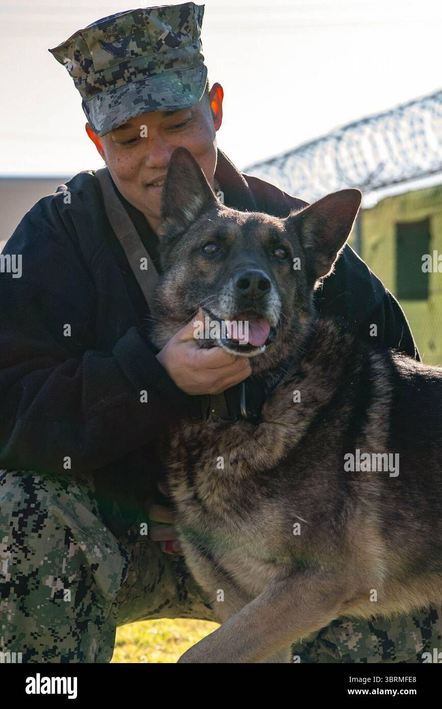Man's Best Friend - The Dogs of Naval Station Rota's Military Working Dog Program (7696134). Foto Stock