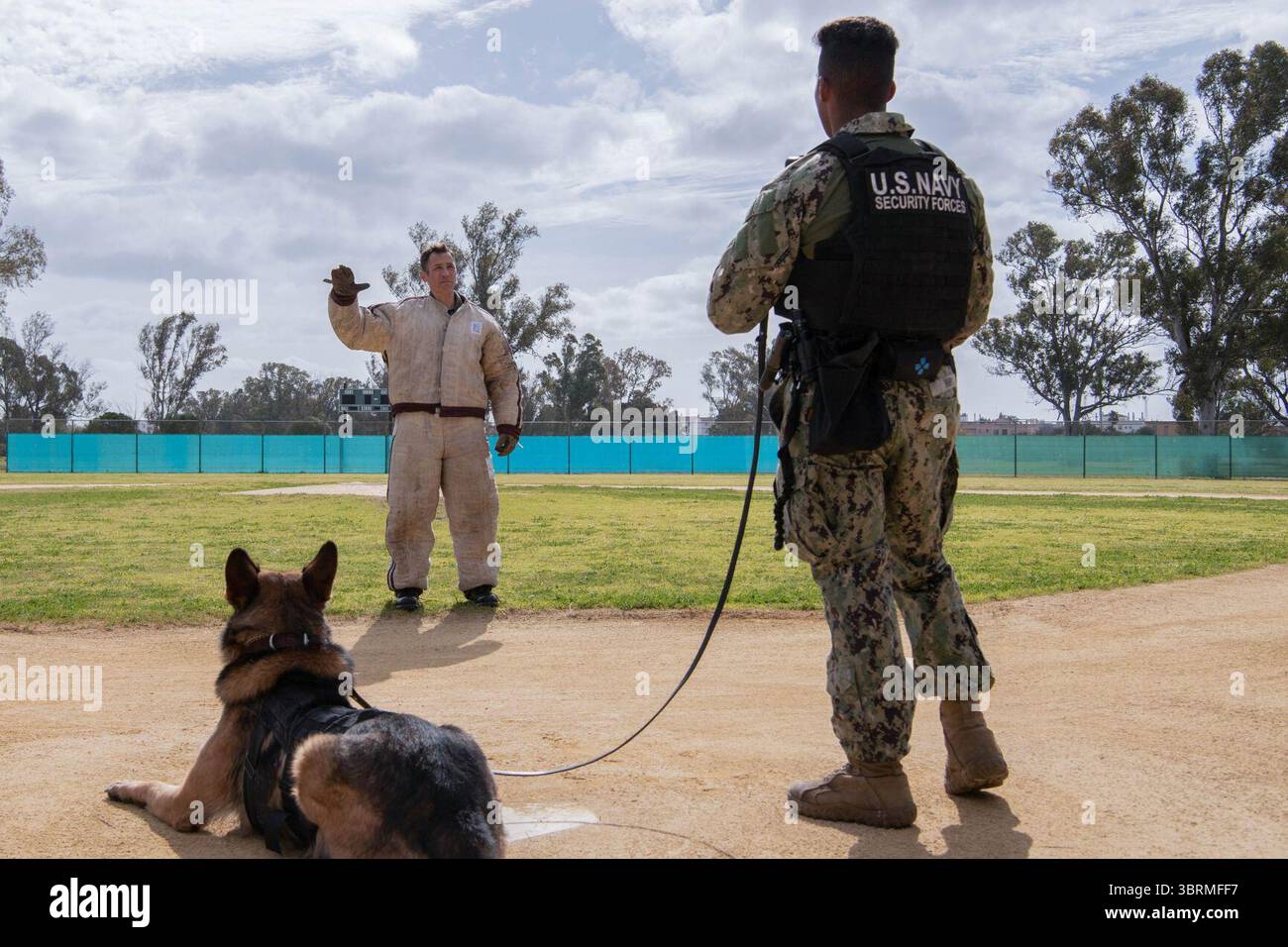 Man's Best Friend - The Dogs of Naval Station Rota's Military Working Dog Program (7696133). Foto Stock