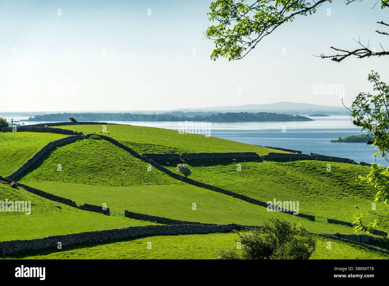 Lough Loch Corrib, il più grande lago della Repubblica d'Irlanda, Connacht, Connaught West of Ireland, Stock Photo Foto Stock