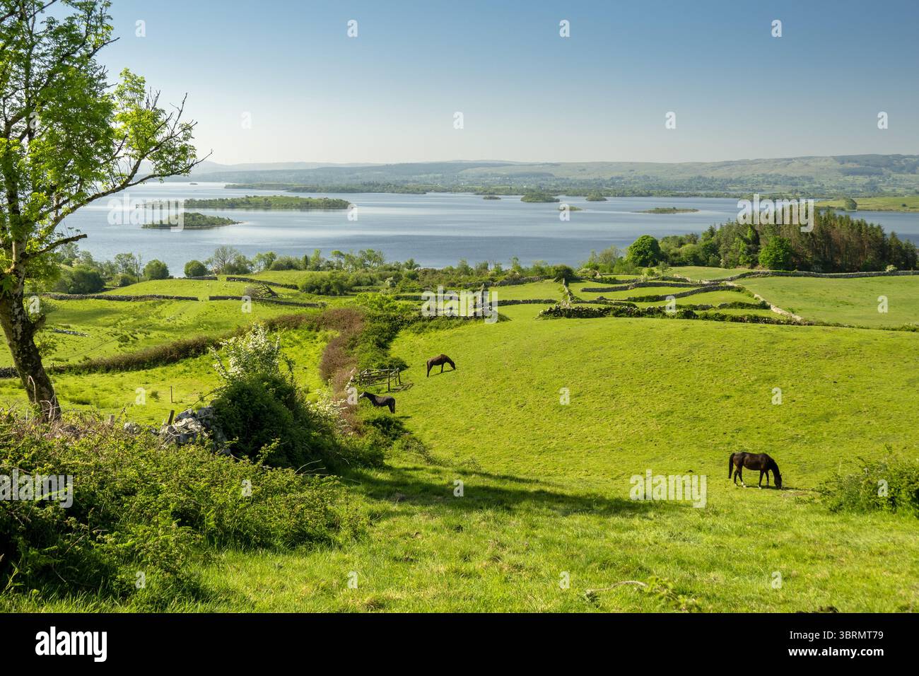 Lough Corrib il lago più grande della Repubblica d'Irlanda, Connacht, Connaught West of Ireland, foto d'archivio Foto Stock