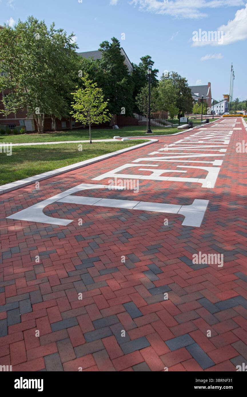 Mattoni di asfaltatrice con scritto Tennessee Foto Stock