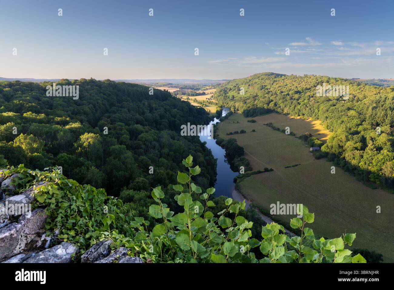 He River Wye si snoda tra colline boscose e campi ondulati, visto da Symonds Yat Rock, Wye Valley, Herefordshire, Inghilterra. Foto Stock