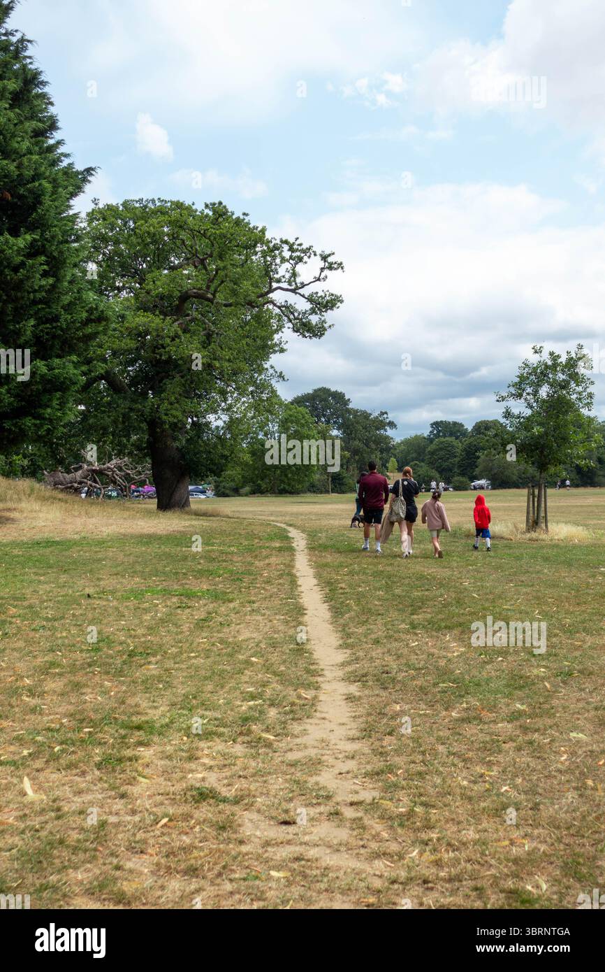 Un percorso sterrato attraverso Prospect Park, Reading, Regno Unito. È al centro di un'onda di calore e l'erba è diventata marrone. Foto Stock