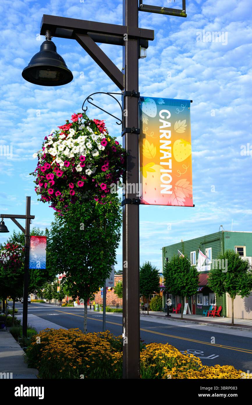 Garofano, Washington, USA - 13 luglio 2025; striscione su lampione con fiori colorati nel centro di Carnation Washington Foto Stock