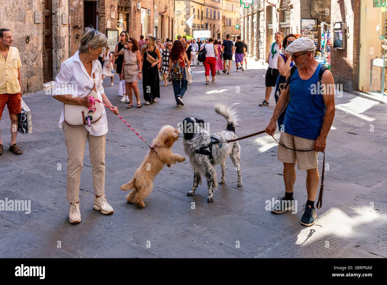 I senesi in strada con i loro animali domestici, Siena, Toscana, Italia. Foto Stock