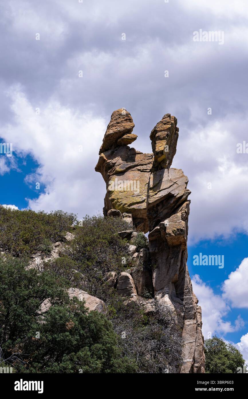 Le aspre montagne Catalina sono un'oasi estiva per i residenti del deserto di Sonora, per sfuggire al caldo a 9000 metri sopra il livello del mare Foto Stock