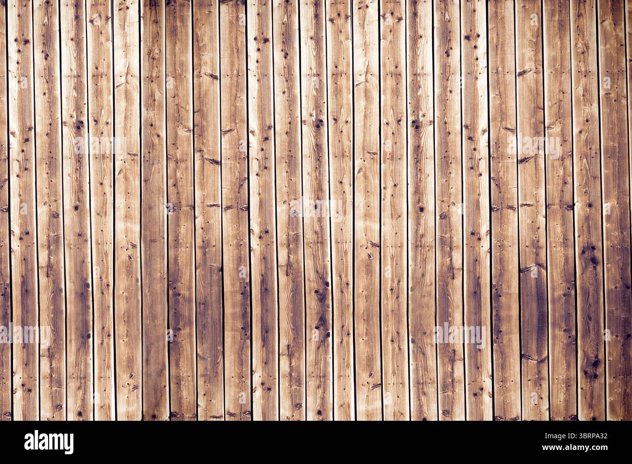 La recinzione continua in legno viene mostrata con un design piatto, con tavole verticali e motivi di grana Foto Stock