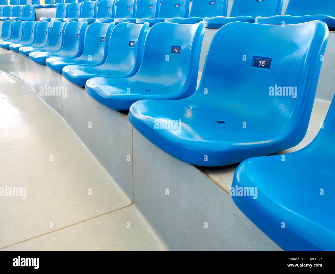 Posti a sedere vuoti in plastica blu o sedie da stadio con numeri nello spettacolo dell'acquario o dello stadio. Fila di sedili, sui gradini con nessuno. Foto Stock