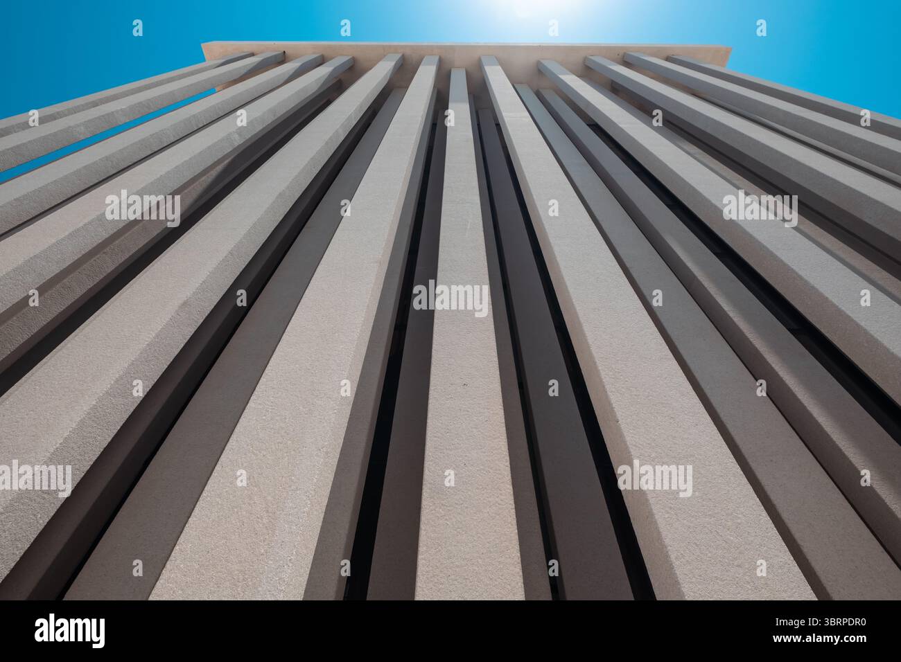 Vista ad angolo basso della struttura architettonica contemporanea, alti pilastri contro il cielo blu, fotografie architettoniche fuori dall'esterno del museo ad Abu Dhabi Foto Stock