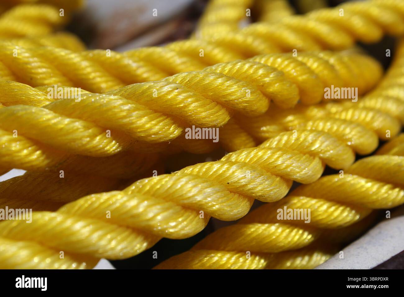 Primo piano sullo sfondo astratto testurizzato di una corda gialla Foto Stock