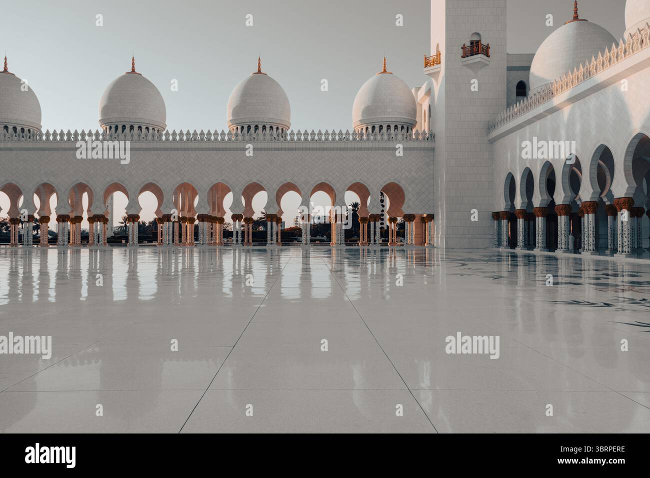 interno della moschea sheikh zayed ad abu dhabi emirati arabi uniti Foto Stock