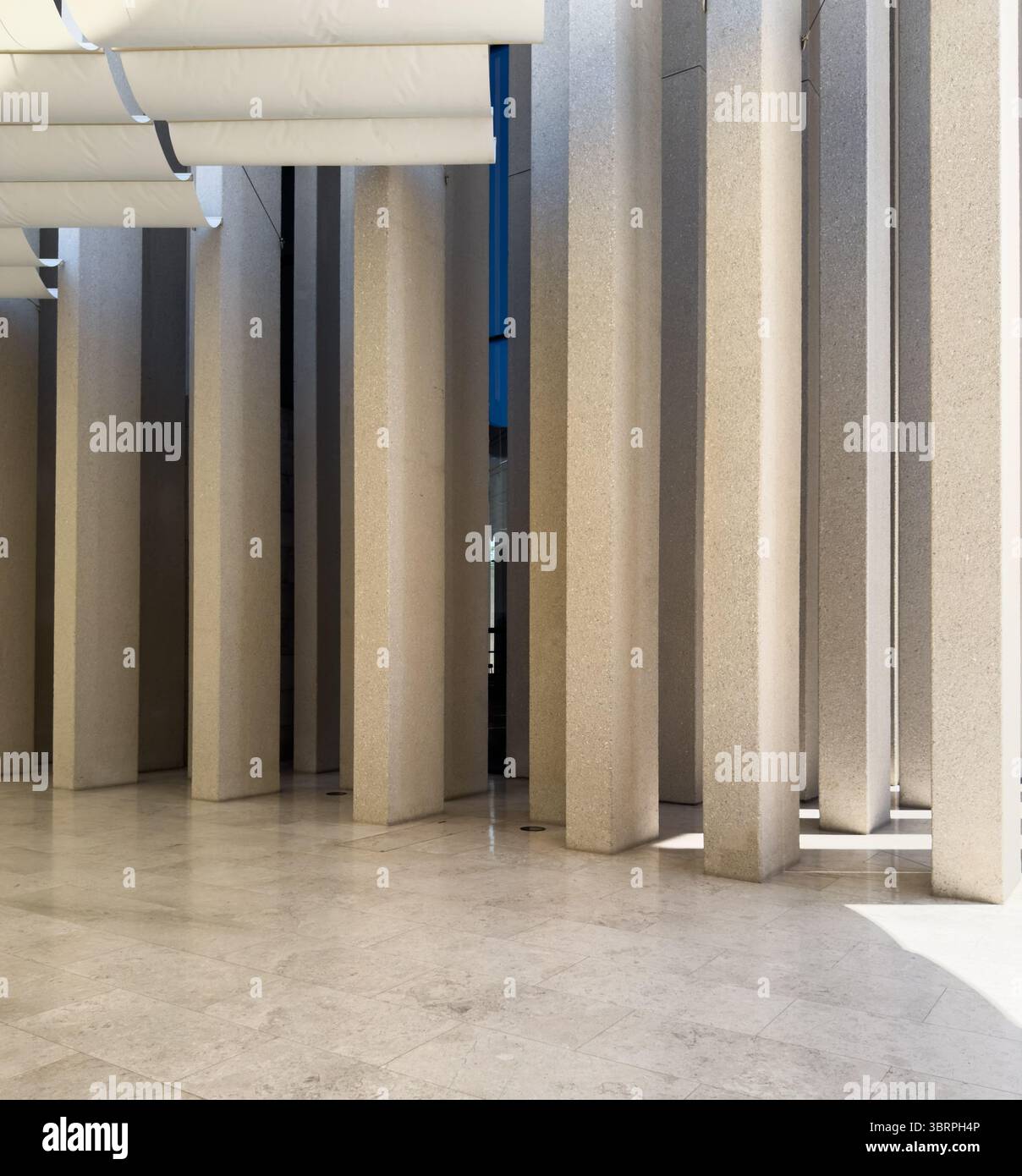 Grande architettura moderna con colonne, motivi luminosi e ombrosi all'interno dell'edificio, fantasie creative del soffitto Foto Stock
