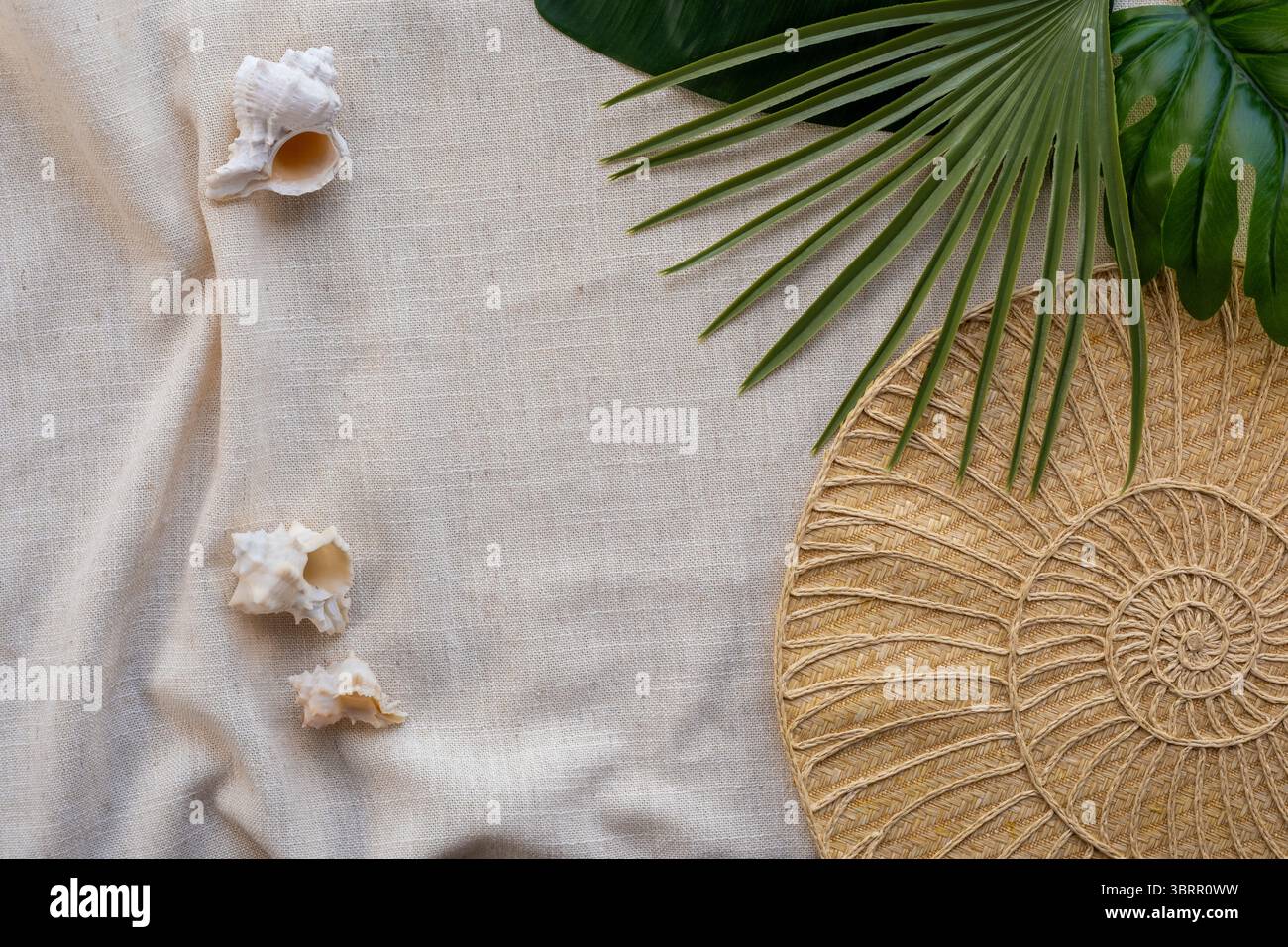 sfondo costiero con borsa da spiaggia, conchiglie marine e foglie tropicali con spazio vuoto per testo o grafica, sfondo per riprese di prodotti Foto Stock