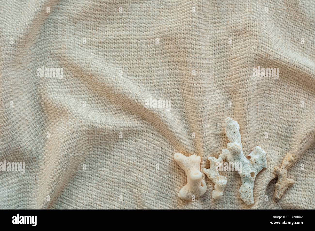 il piatto costiero è ricoperto da conchiglie e coralli sullo sfondo beige Foto Stock