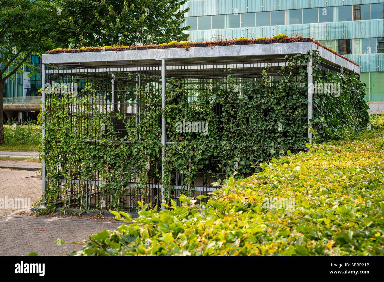 Innovativo City Bike Garage con piante verdi, Living Roof e Climber alle pareti, design urbano ecologico Foto Stock