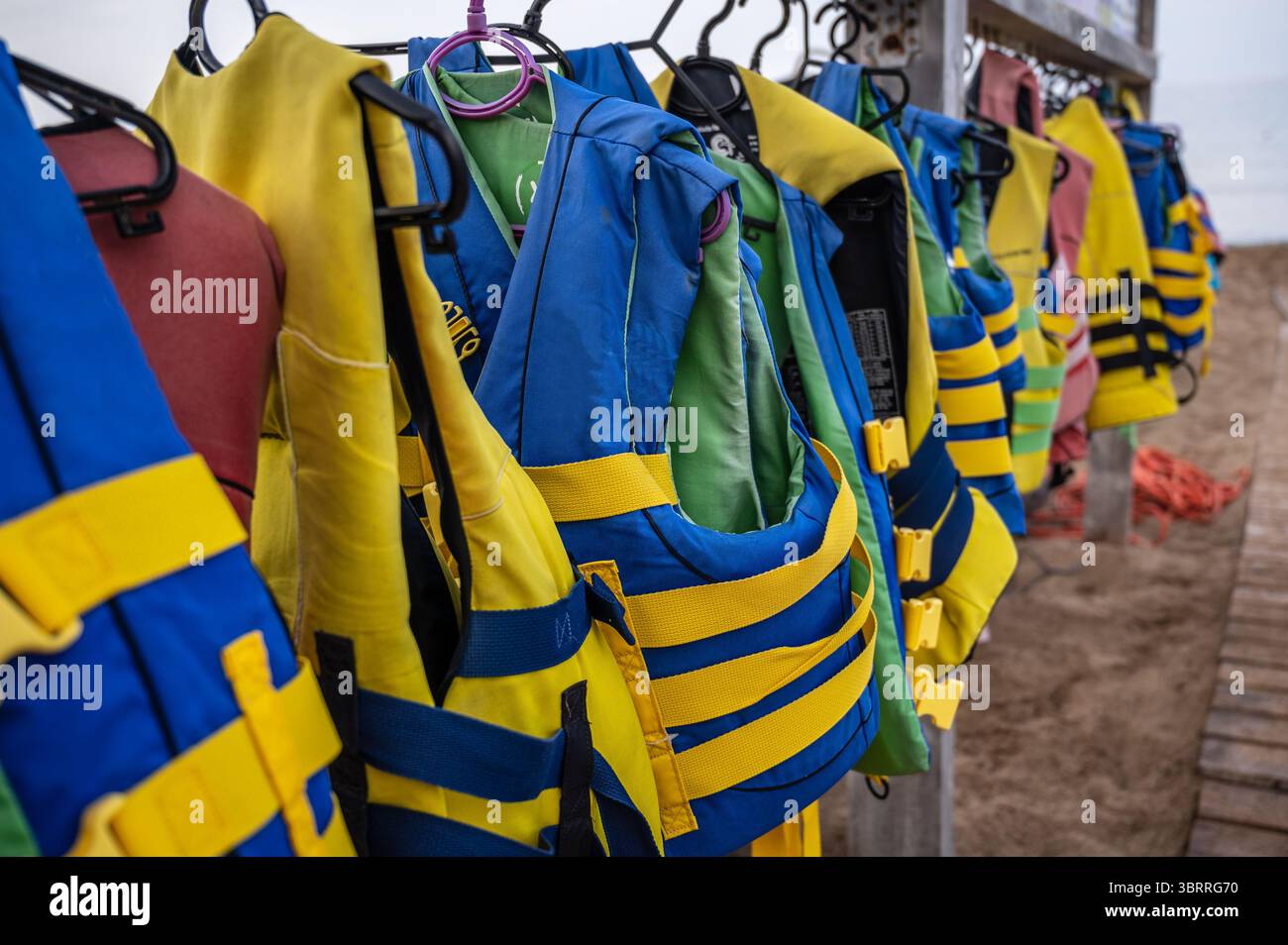 Fila di giubbotti di salvataggio, in spiaggia, pronti per l'affitto Foto Stock