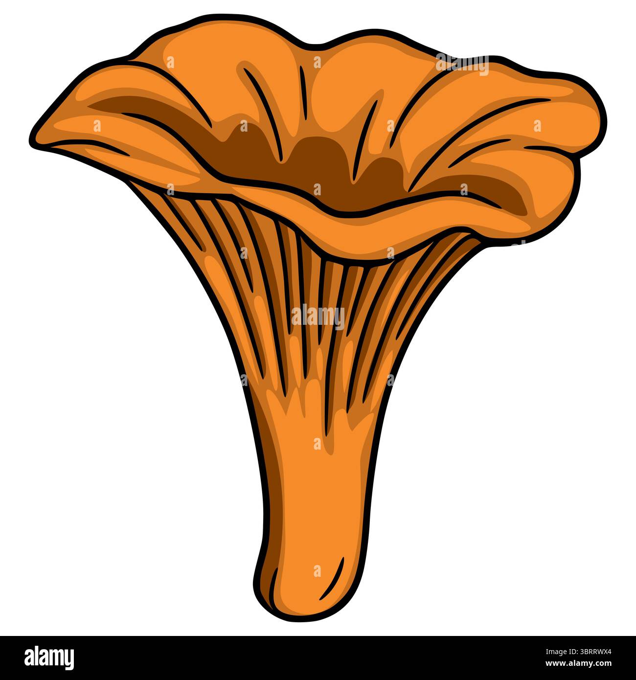 Un'illustrazione vettoriale di un fungo canterellare, che mostra la sua esclusiva forma a imbuto e la vibrante tonalità arancione, con contorni scuri per una mano Illustrazione Vettoriale
