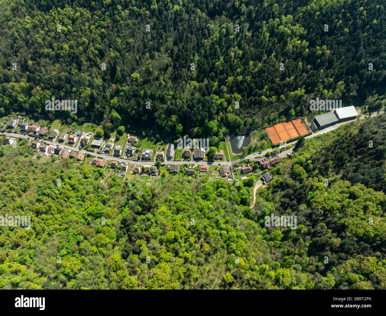 Vista aerea delle case annidate tra fitte foreste verdi, che portano ai campi da tennis e a un edificio, creando un vibrante contrasto tra natura e struttura, Thann, Grand Est, Francia. Foto Stock
