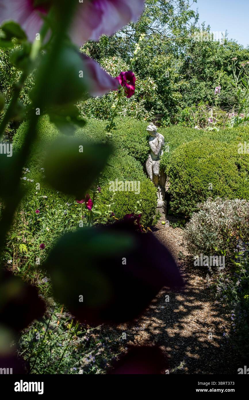 Giardino all'inglese con privet scultura e hollyhocks alla luce del sole Foto Stock