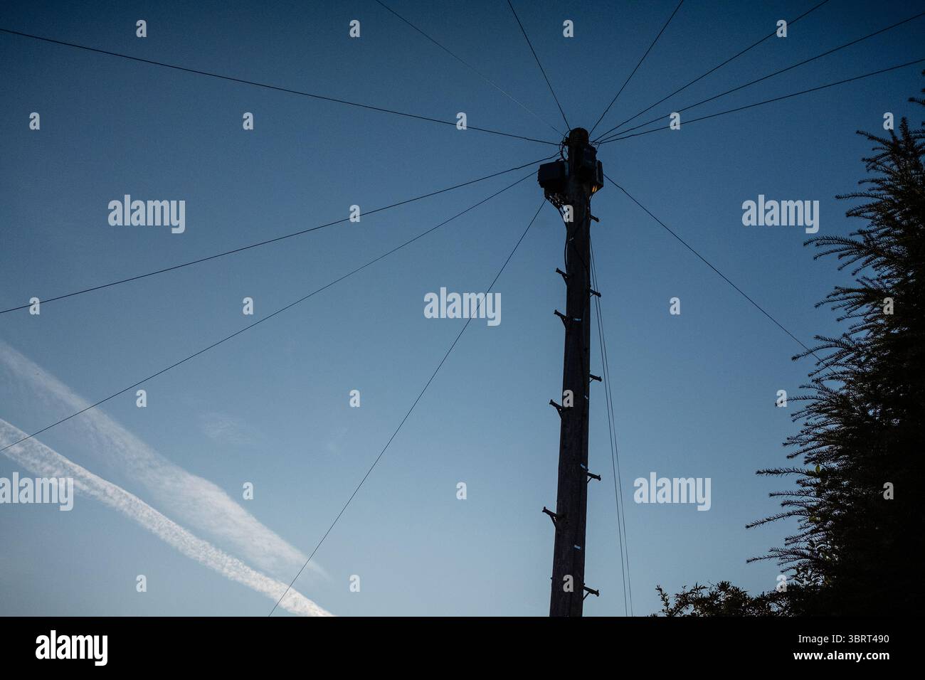 Asta per telegrafo con più cavi in direzioni diverse, in estate, cielo blu Foto Stock