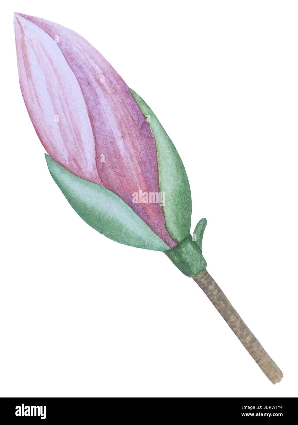 Set di clipart per matrimoni ad acquerello. Illustrazioni dipinte a mano con attributi nuziali e fiori di magnolia isolati sul bianco. Grafica romantica per invit Foto Stock