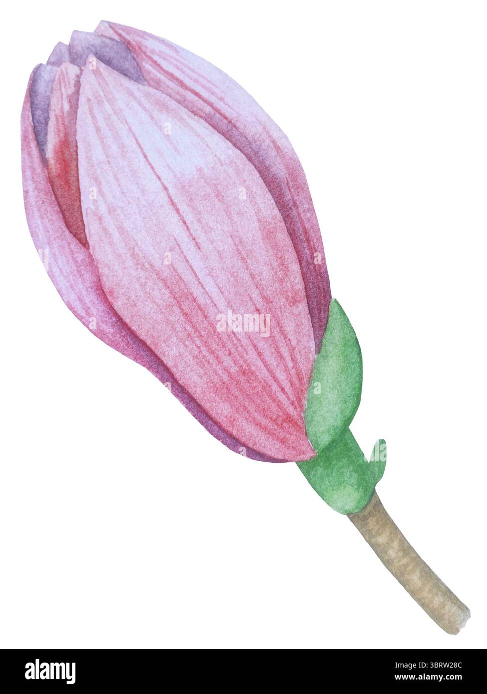 Set di clipart per matrimoni ad acquerello. Illustrazioni dipinte a mano con attributi nuziali e fiori di magnolia isolati sul bianco. Grafica romantica per invit Foto Stock