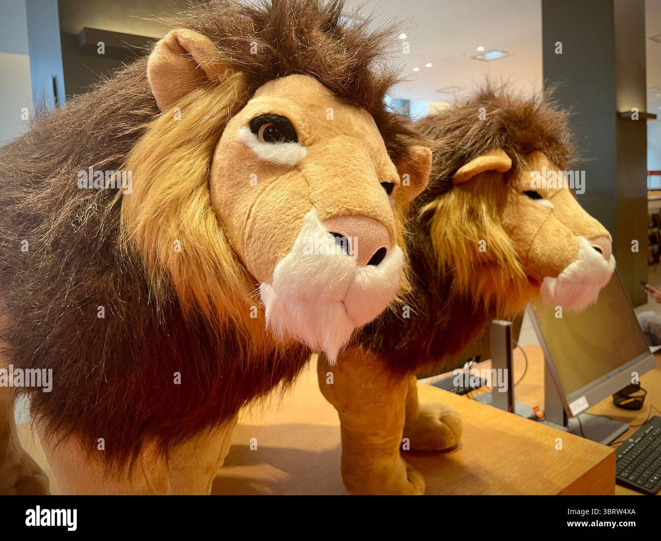 La Stavros Niarchos Foundation Library (SNFL) si trova al 455 di Fifth Avenue, New York City, USA 2024 - Immagine stock catturata con smartphone