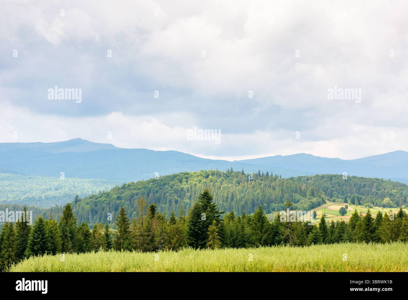 paesaggio in montagna con foresta dietro il campo. natura estiva con cielo nuvoloso. sfondo di campagna Foto Stock