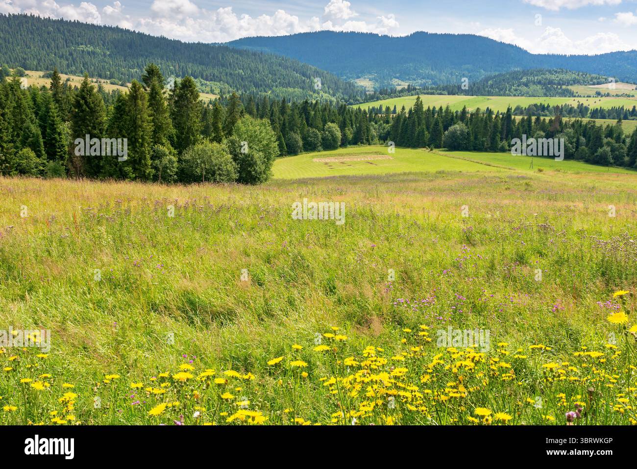 paesaggio di campagna con prato in estate. splendida vista della montagna sotto il cielo con nuvole sullo sfondo Foto Stock