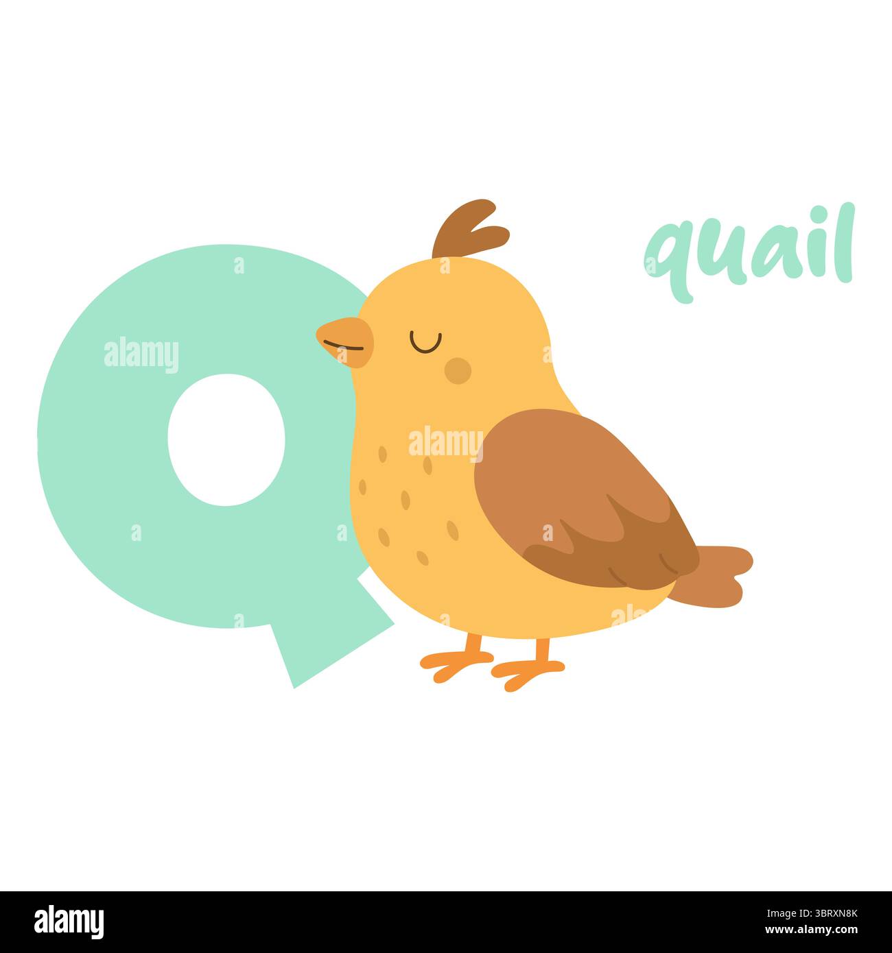 L'adorabile quaglia si trova accanto alla lettera Q in un divertente design alfabetico per l'educazione della prima infanzia. Illustrazione Vettoriale