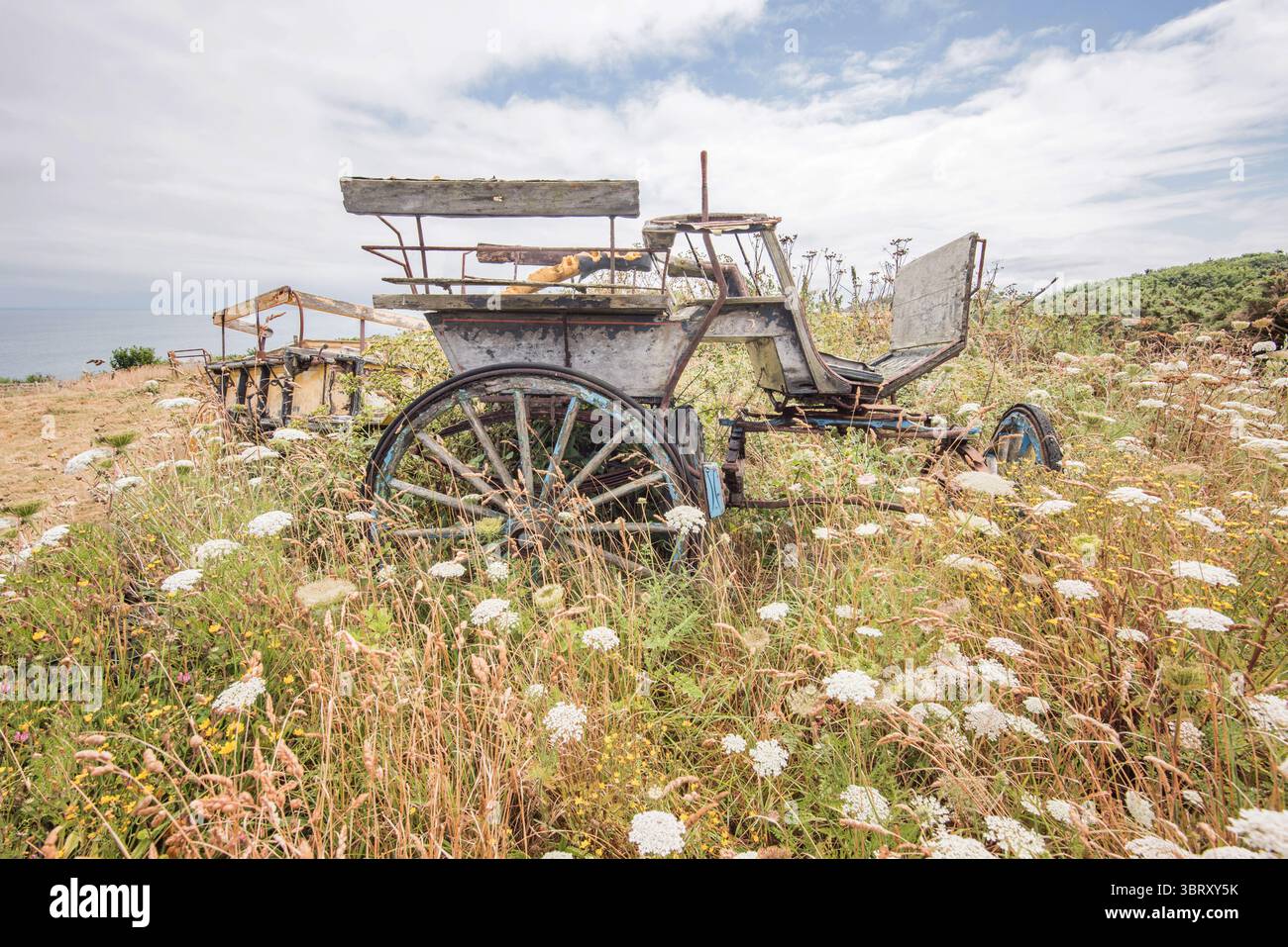 Vecchio carro trainato da cavalli o carrozza in un campo di erba alta e fiori selvatici, abbandonati o lasciati in rovina in un ambiente rurale sull'isola di Sark. Foto Stock