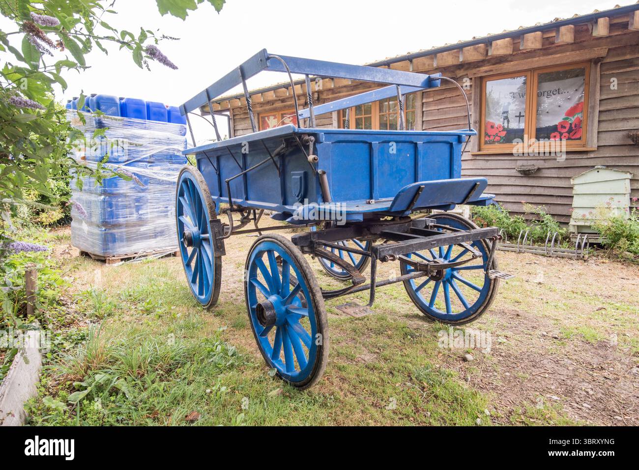 L'immagine mostra un charabanc trainato da cavalli, una prima forma di trasporto pubblico e veicolo turistico ancora utilizzato a Sark nelle Isole del Canale. Foto Stock
