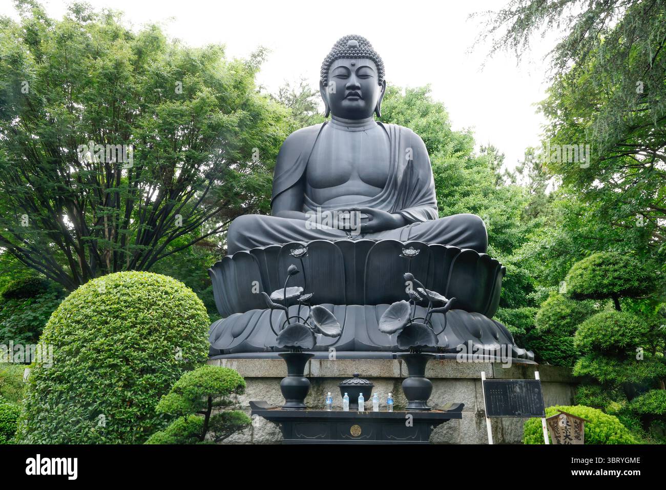 IL GRANDE BUDDHA DI JOREN-JI TOKYO Foto Stock