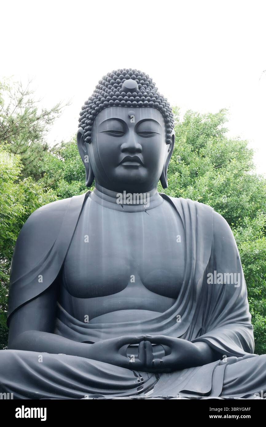 IL GRANDE BUDDHA DI JOREN-JI TOKYO Foto Stock