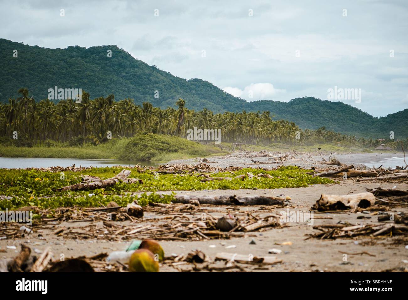 natura Foto Stock