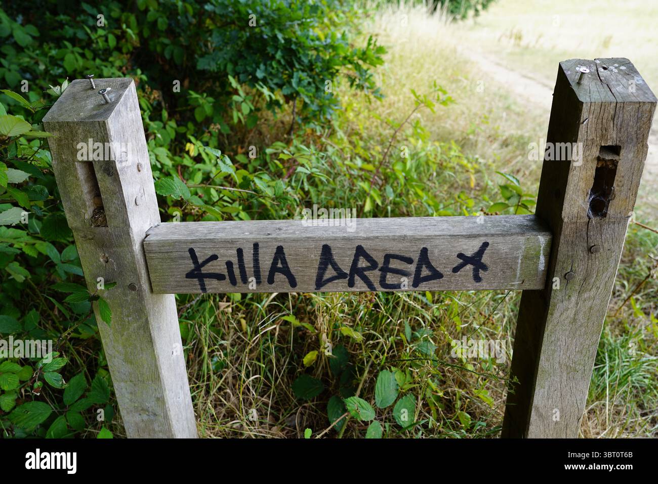Recinzione in legno con graffiti in un ambiente naturale all'aperto. Dorking, Inghilterra Foto Stock