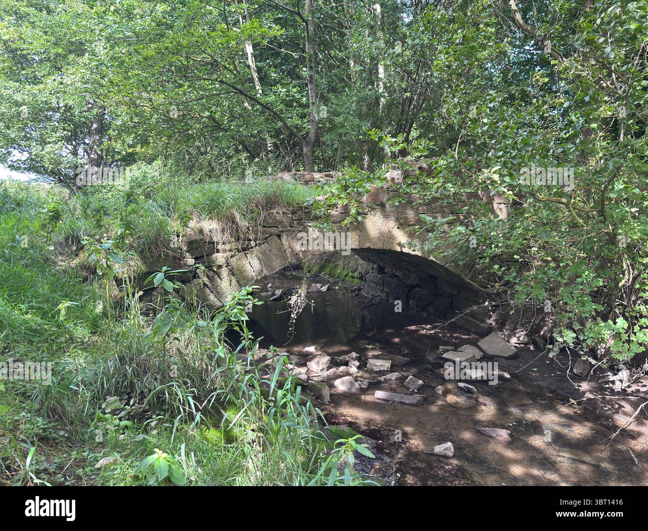Piccolo e suggestivo ponte di pietra in fitti boschi su un dolce ruscello nell'East Lothian, catturato in un tranquillo ambiente naturale Foto Stock